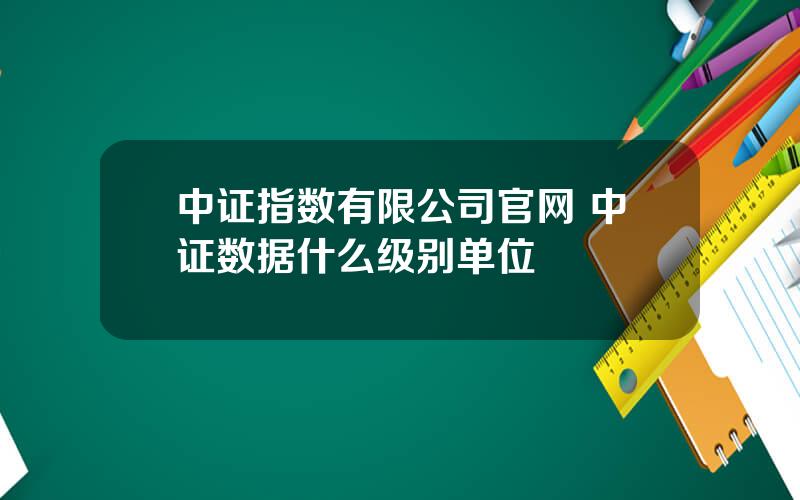 中证指数有限公司官网 中证数据什么级别单位